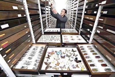 🏛️ 에히메 대학 박물관 (에히메 다이가쿠 뮤지아무) 이미지 3